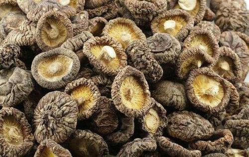 干香菇 干香菇