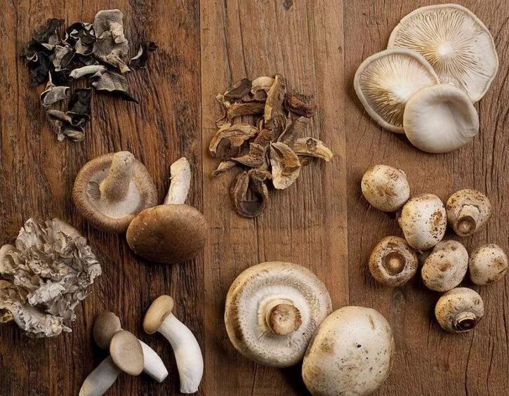 食用菌 (15).jpg 食用菌 (15).jpg